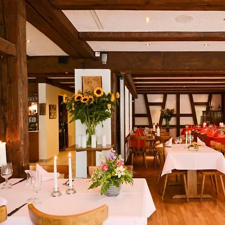 Hotell Zum Wilden Mann 2*